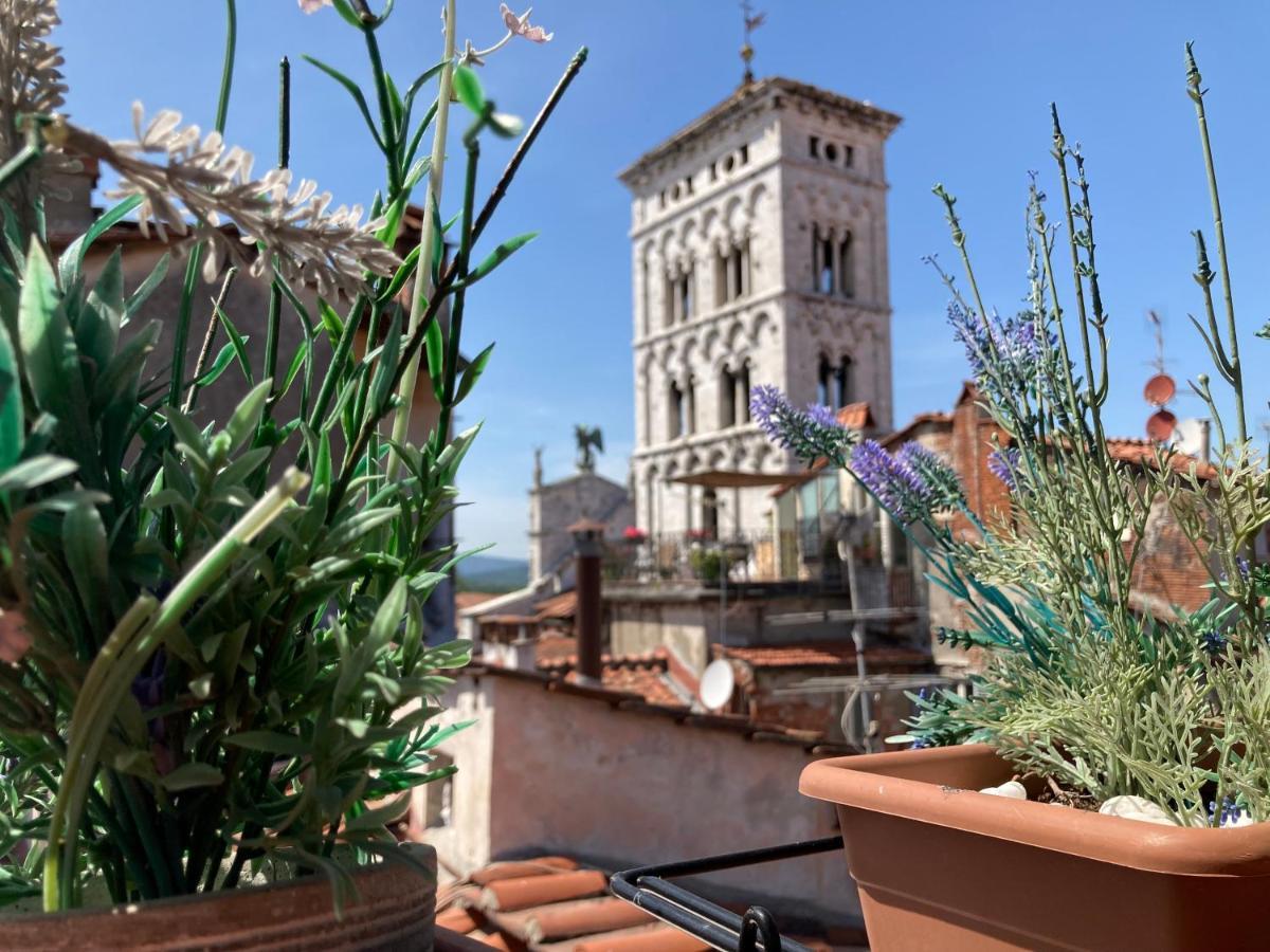 Apartment Terrazza San Michele Affitti Brevi Italia Lucca Italy